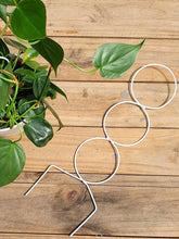 tutor-enredadera-para-plantas-trepadoras-colgantes-plantas-de-interior-jardineria-en-casa-habibi-plantitas.jpg